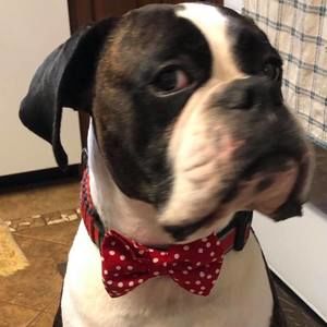 Meet your Posher, Jean